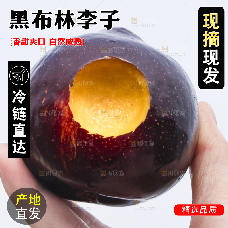 手里拿着进口黑布林