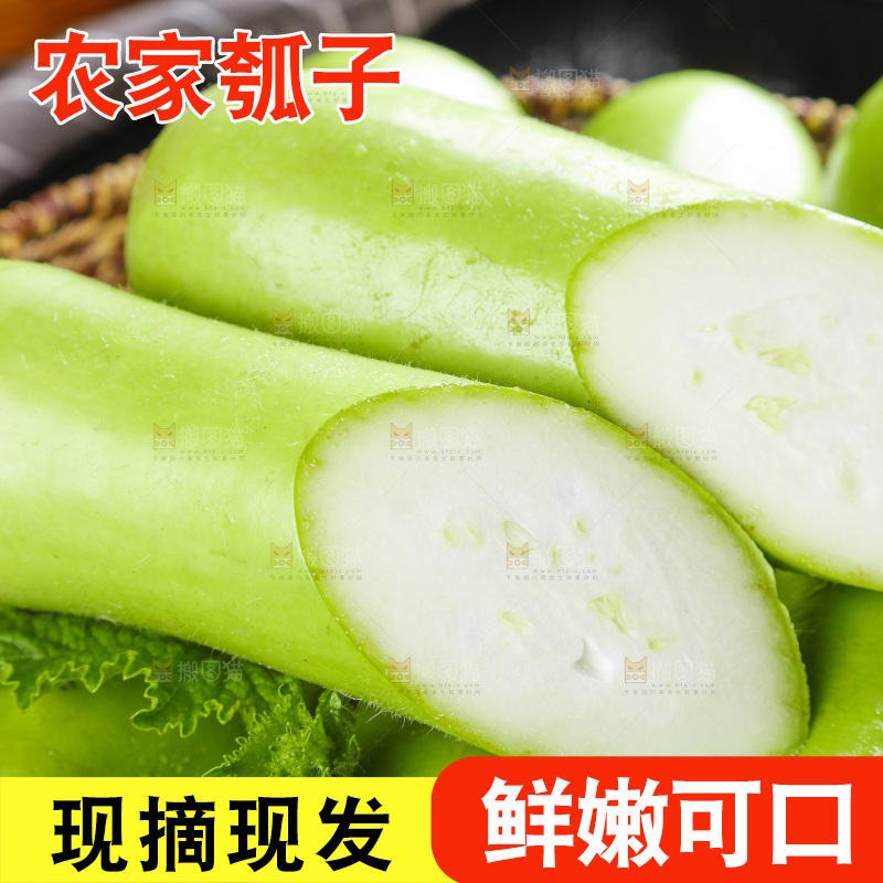 堆放着的瓠瓜
