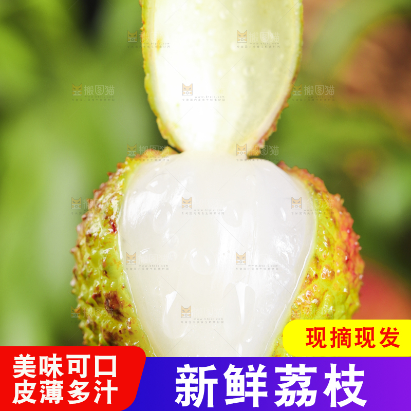 手里拿着妃子笑荔枝