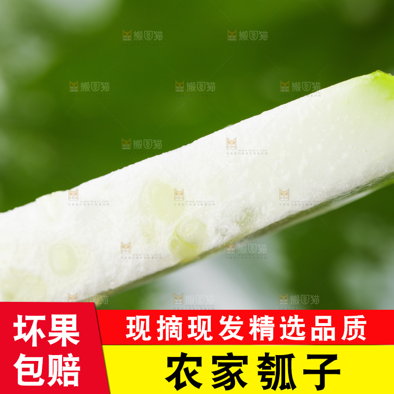 手里拿着瓠瓜