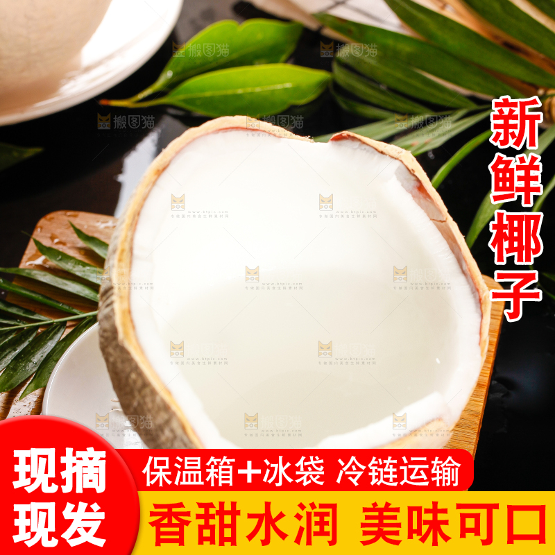 木底上摆放着海南椰子