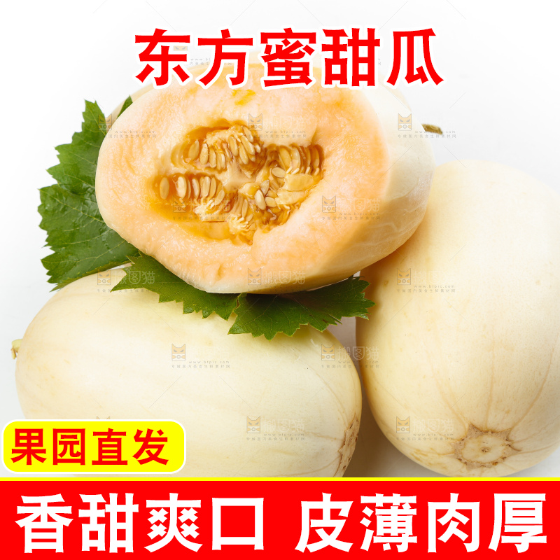 白底上放着蜜香瓜