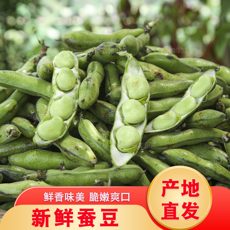 篮子里装着青胡豆