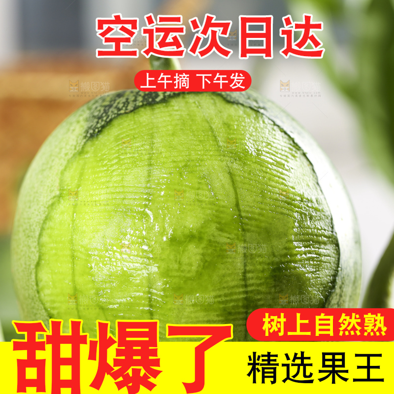 黑底上放着绿宝蜜瓜