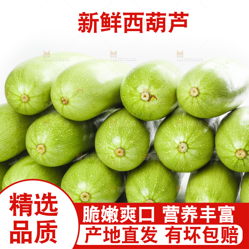 白底上摆放着西葫芦