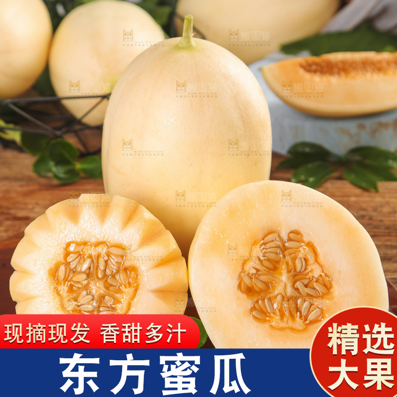 木底上摆放着州东方蜜一号甜瓜
