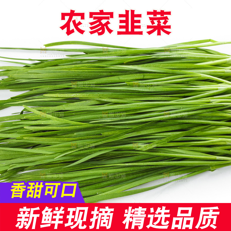 白底上放着一把嫩韭菜