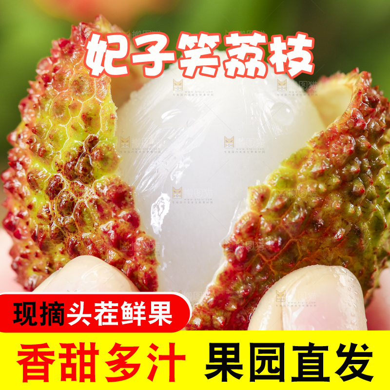 手里拿着妃子笑荔枝