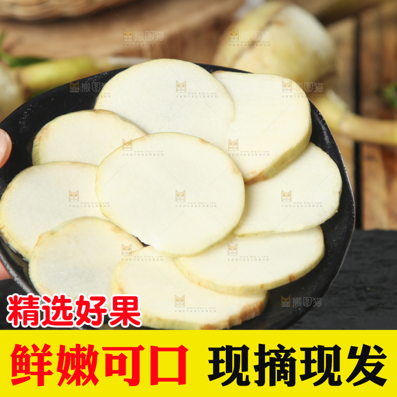 手里拿着新鲜茨菇