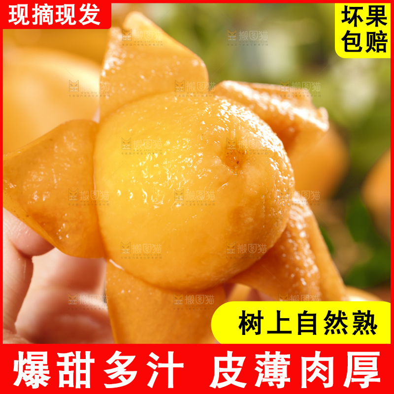 手里拿着枇杷果