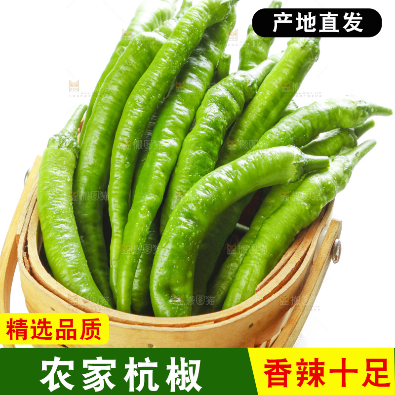 篮子里装着杭椒