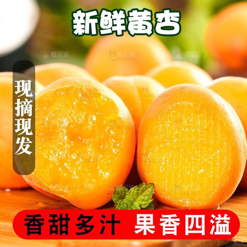 木底上摆放着山东大黄杏