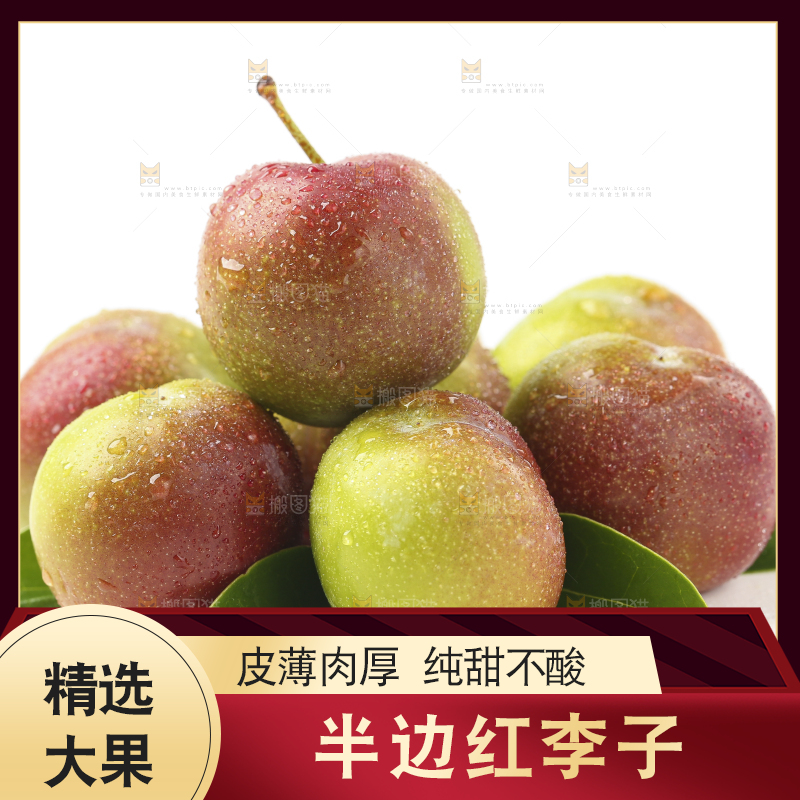 白底上的四川茵红脱骨李