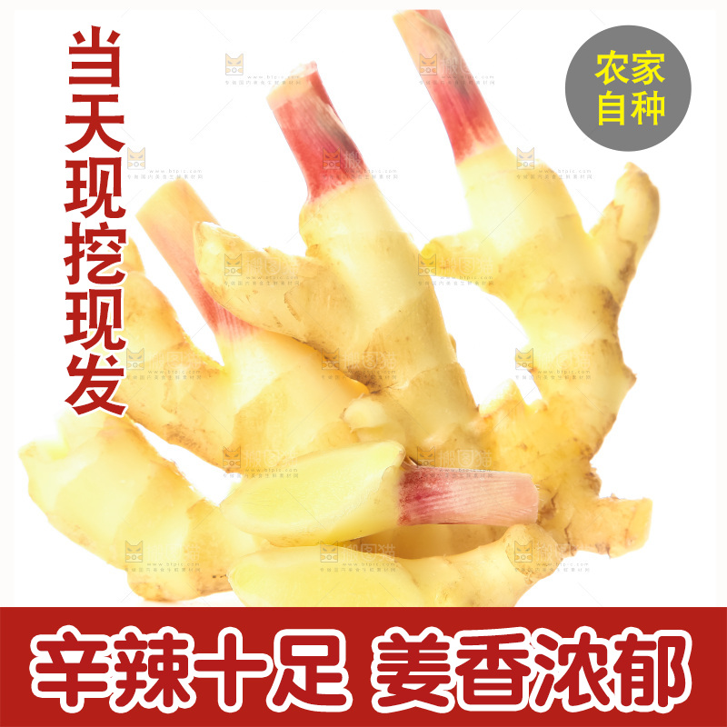 白底上的红芽嫩姜