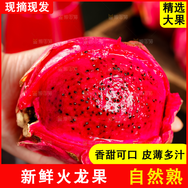 深底上的金都一号红心火龙果