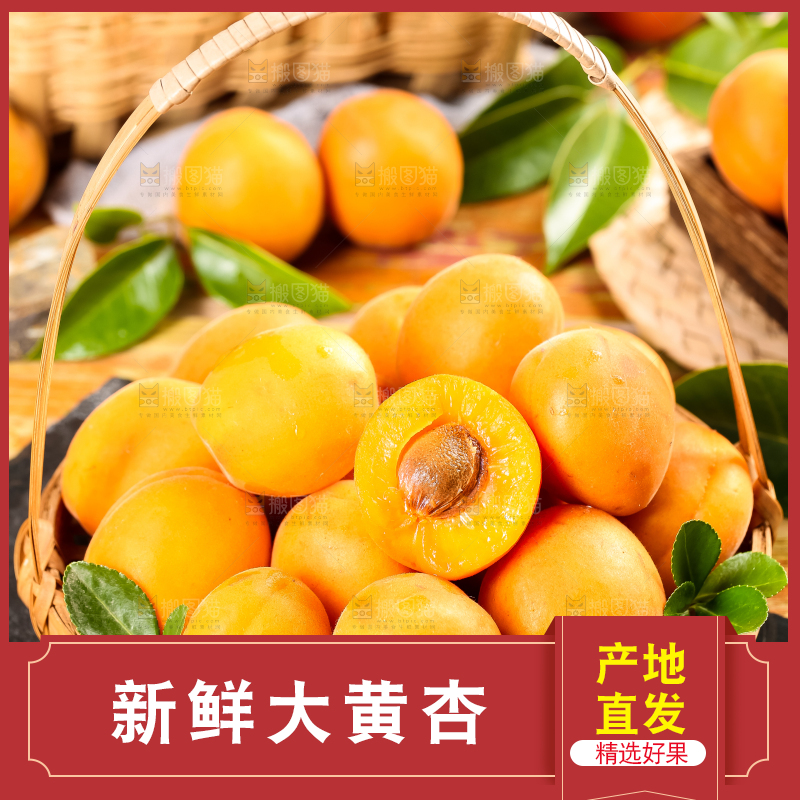 篮子里装着杏子