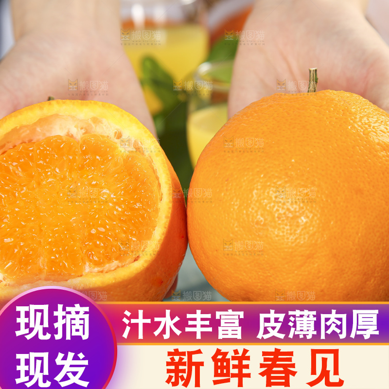 手里拿着四川耙耙柑
