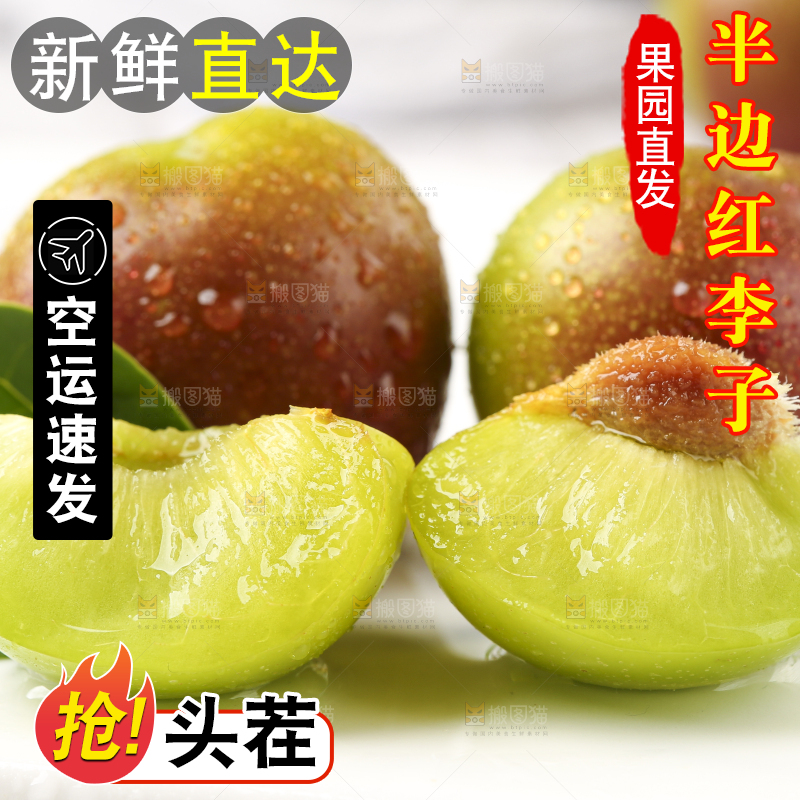 石板上摆放着四川茵红脱骨李