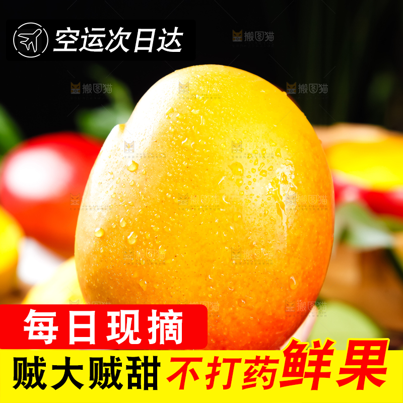 手里拿着吉禄芒果