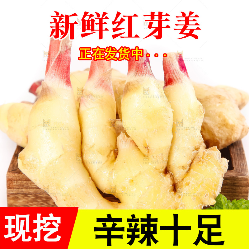 白底上的红芽姜