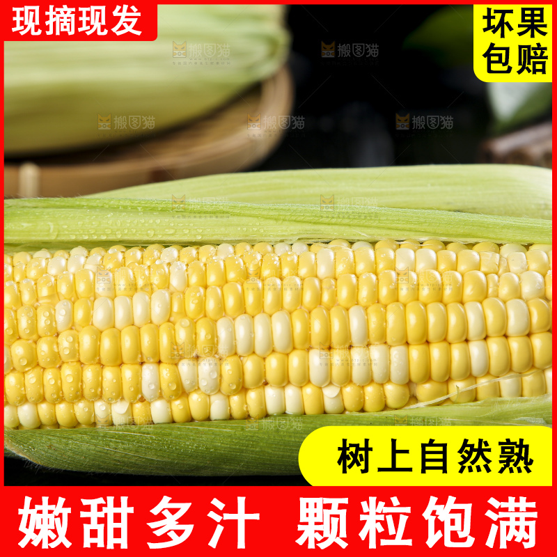 黑底上的云南水果玉米