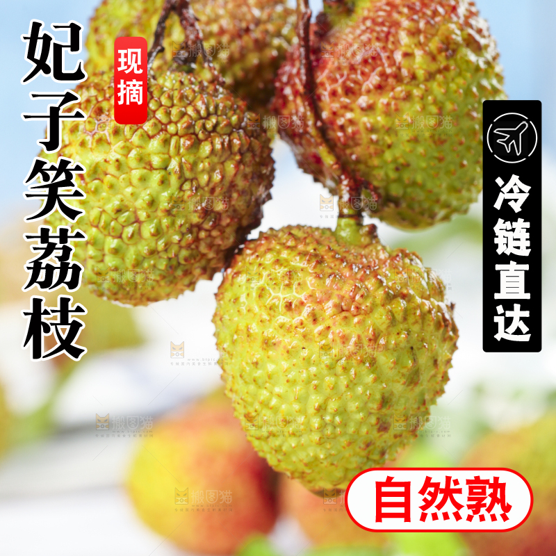 浅底上摆放着妃子笑荔枝