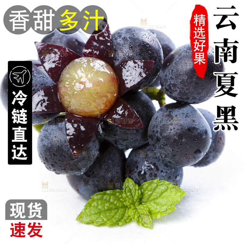 白底上的巨峰葡萄