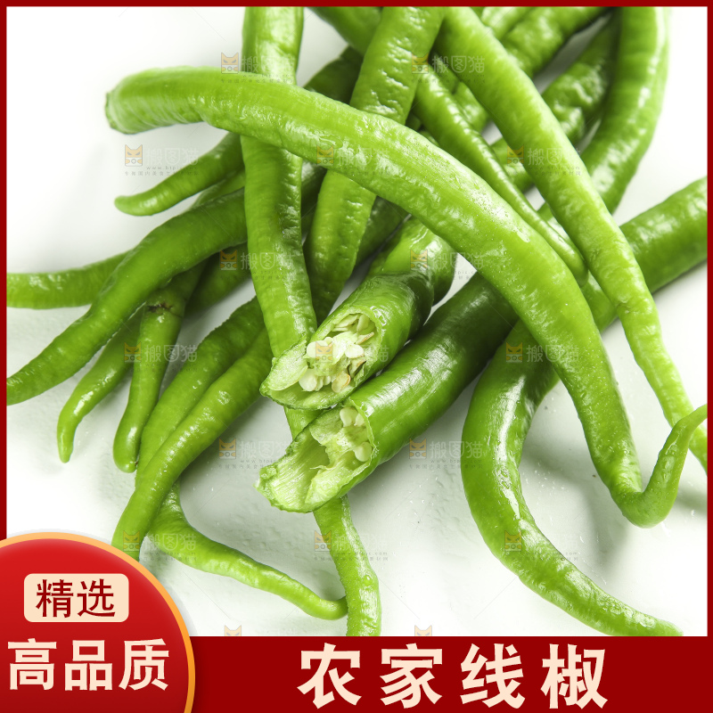 白底上的新鲜青辣椒