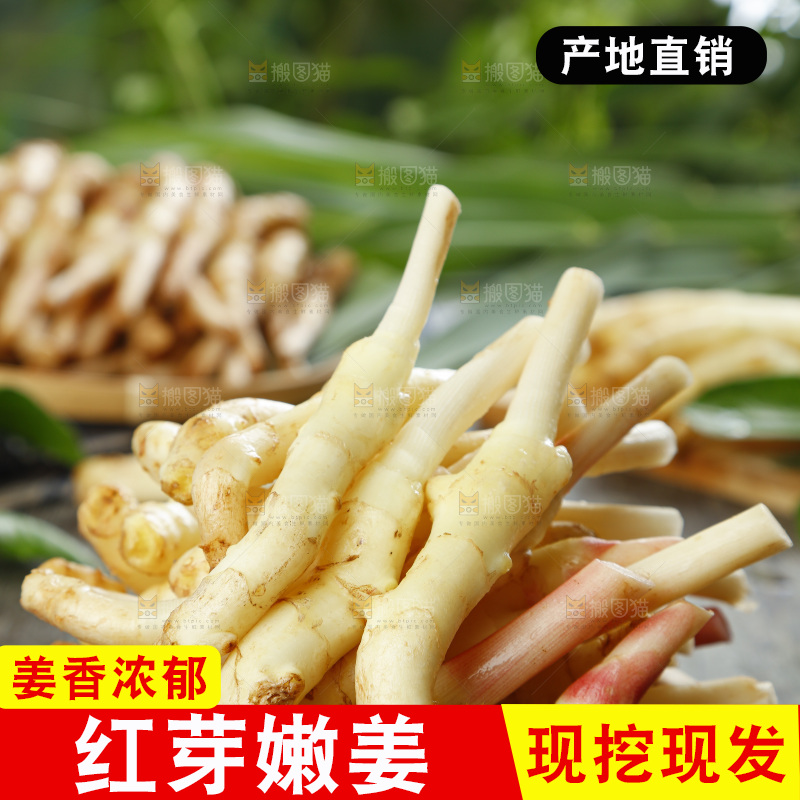 篮子里装着新鲜嫩姜