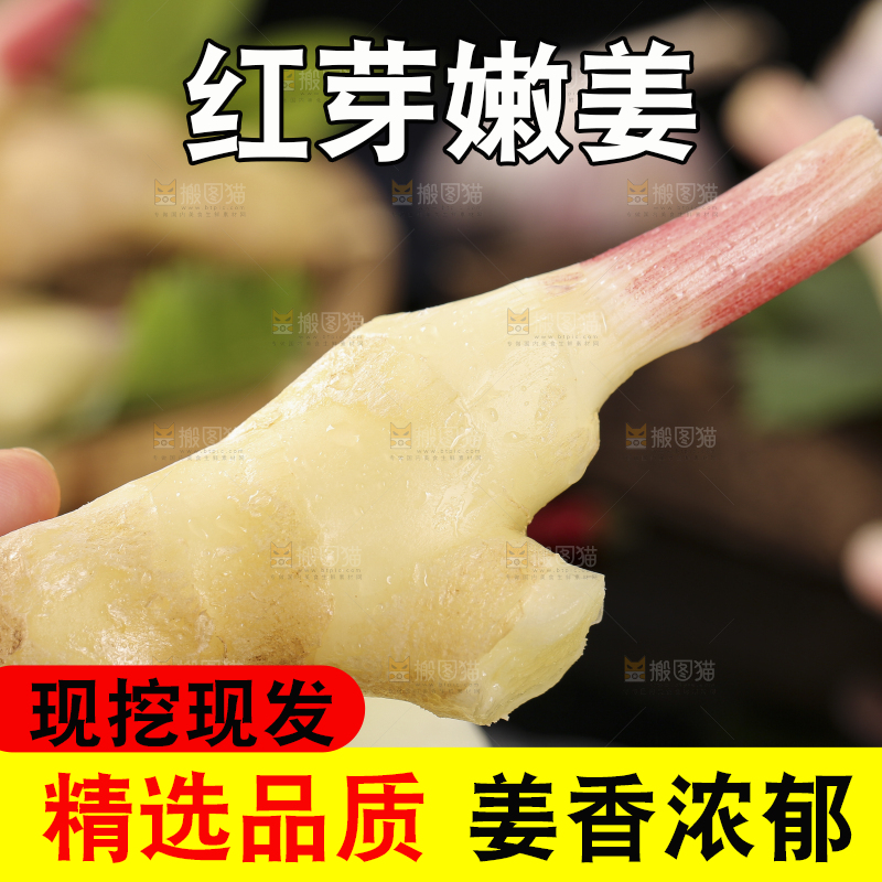 黑石板上放着红芽嫩仔姜