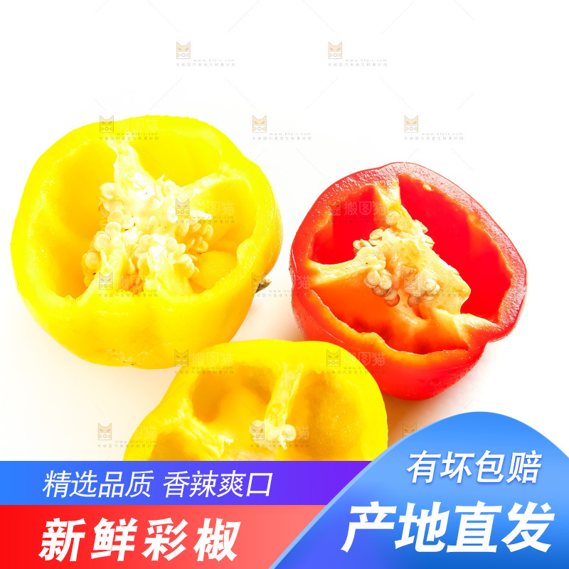 白底上的山东彩椒