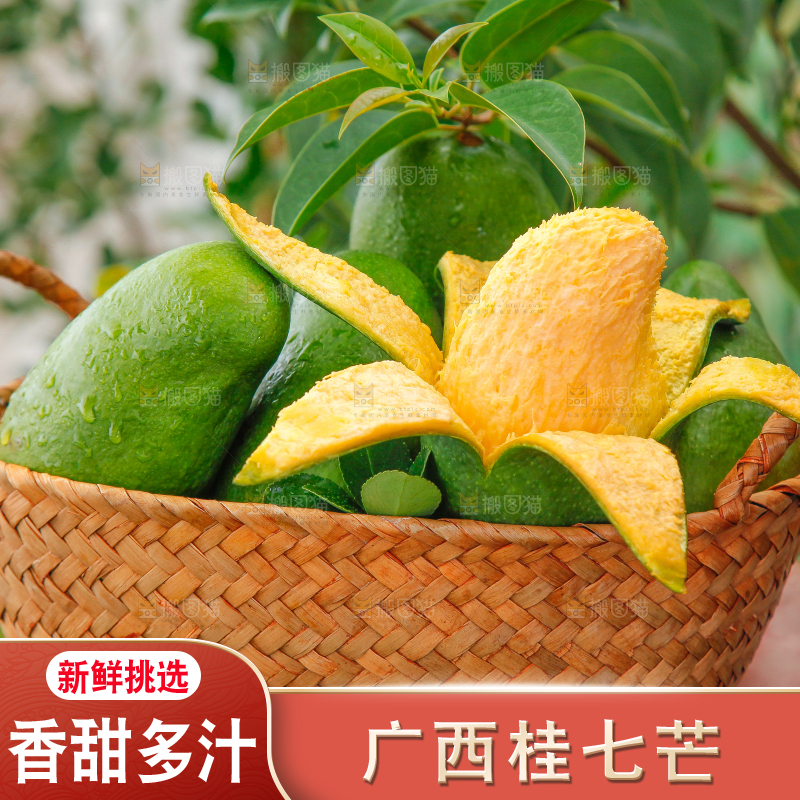 篮子里装着田东桂七芒