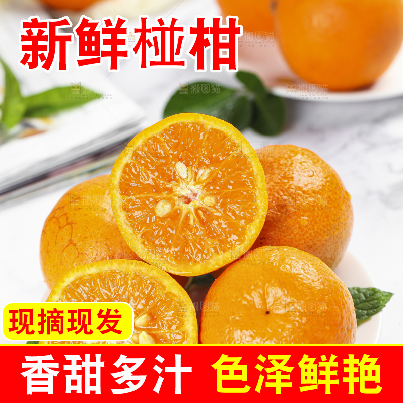 盘子里装着云南椪柑