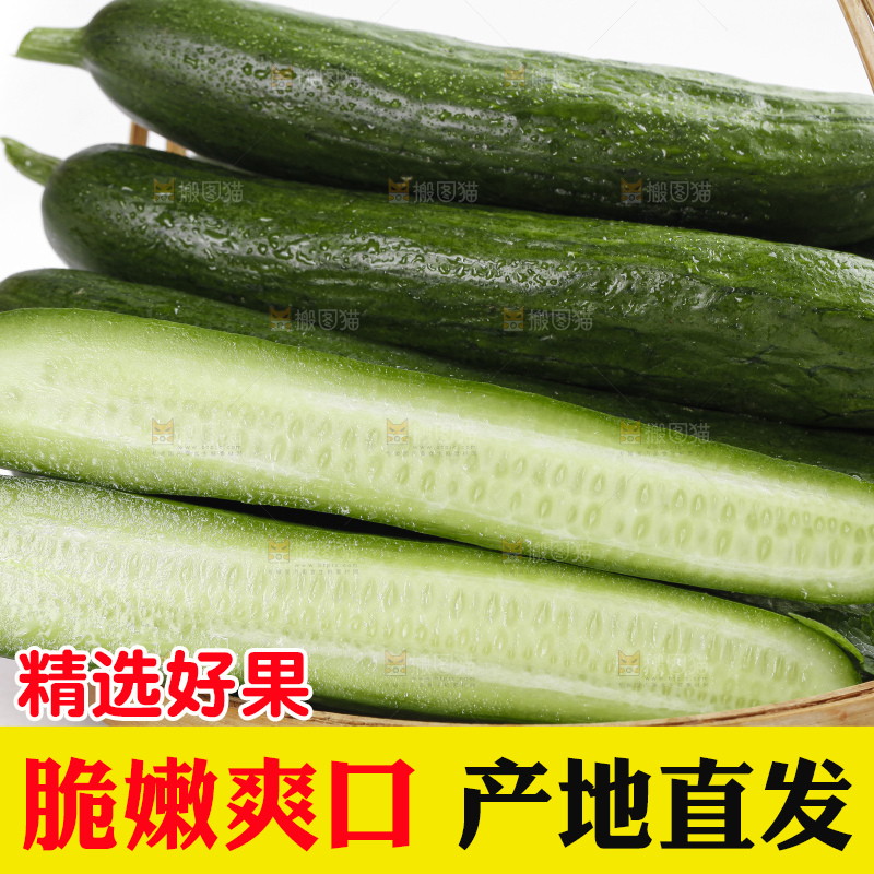篮子里装着无刺小黄瓜