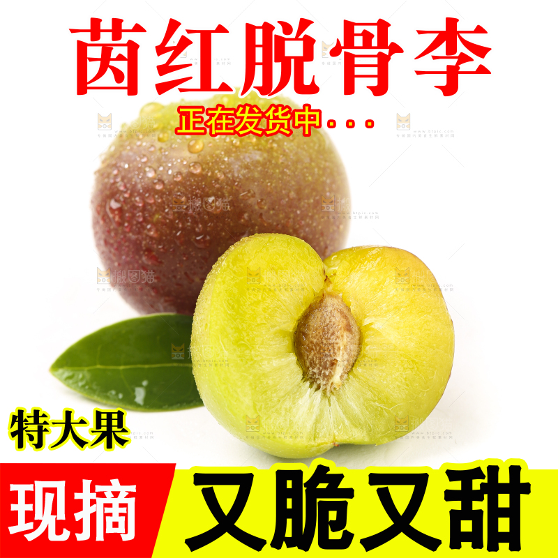 白底上的四川茵红脱骨李