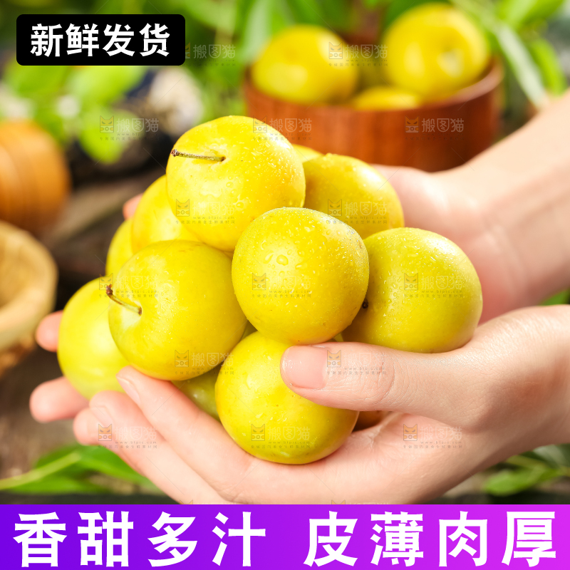 手里拿着黄金奈李