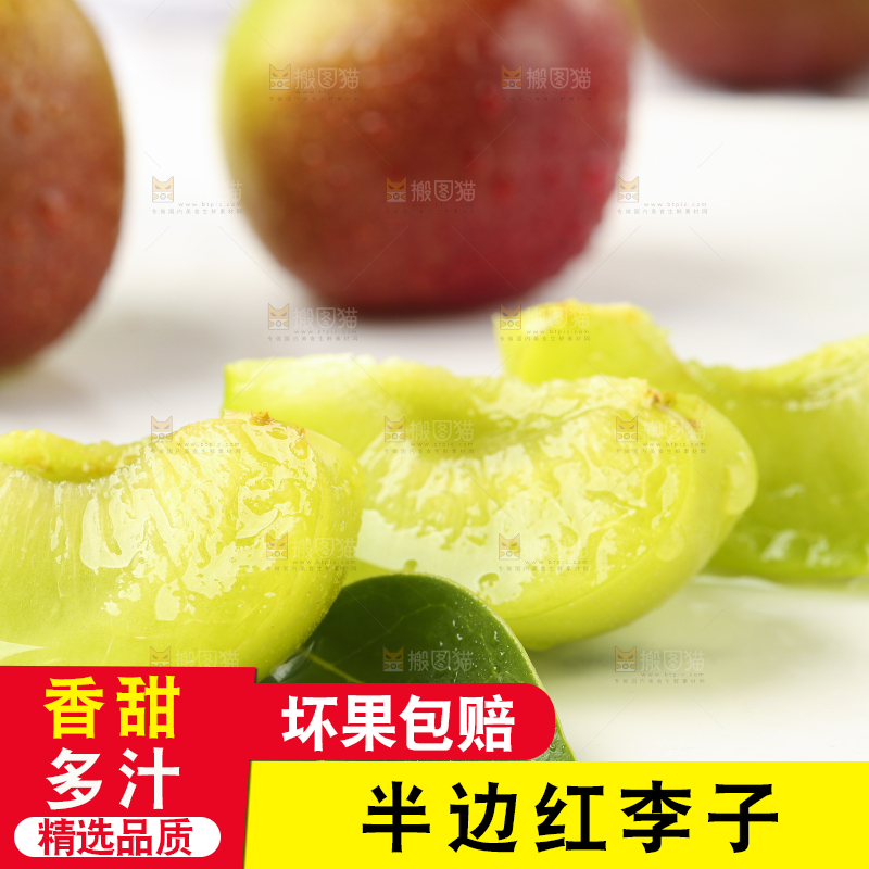 石板上摆放着四川茵红脱骨李