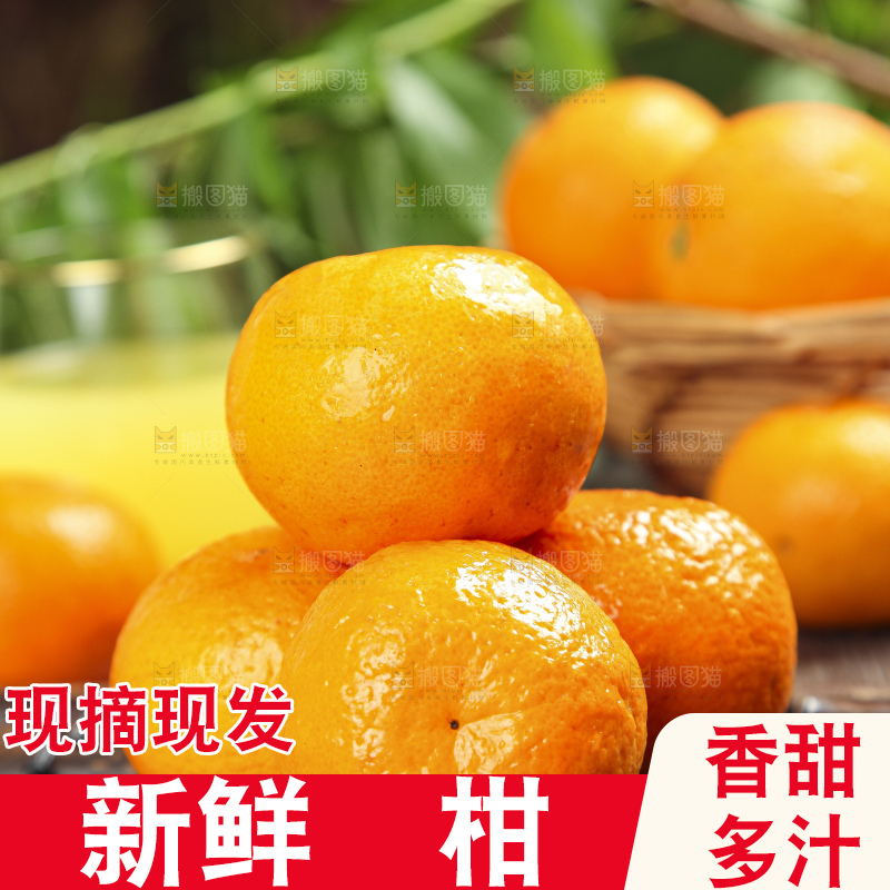 竹底上的永春芦柑
