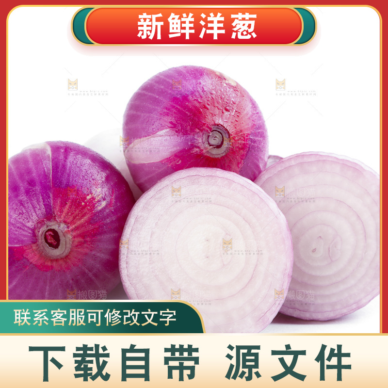 白底上的新鲜洋葱