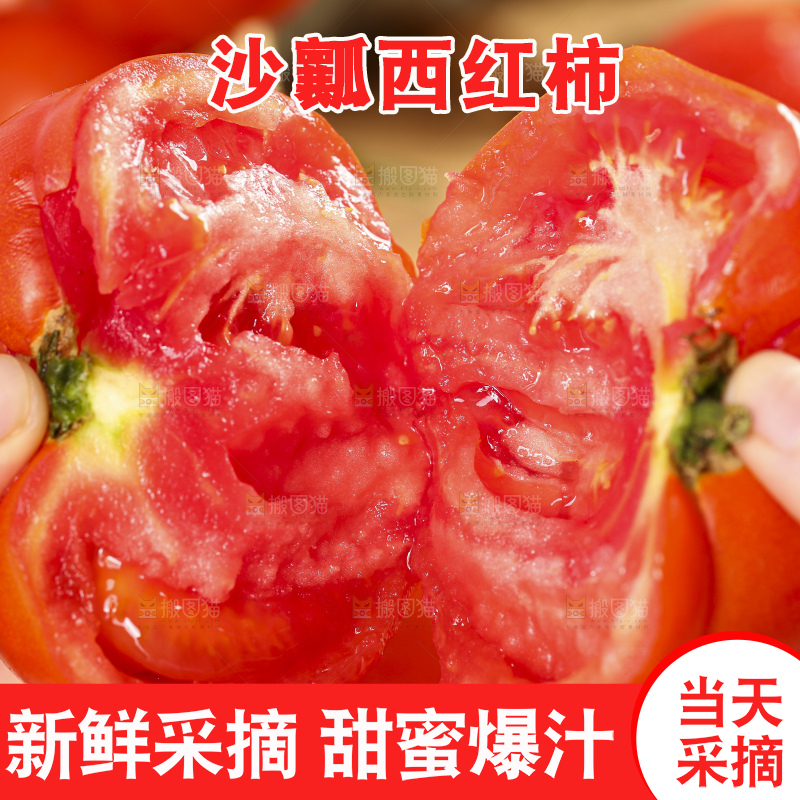 手里拿着米易沙瓤西红柿