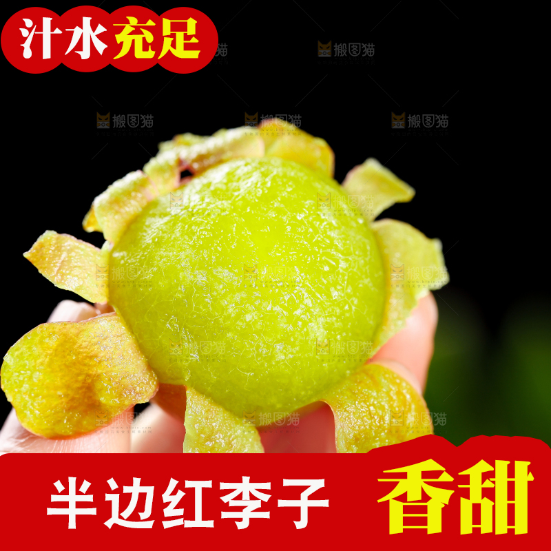 手里拿着茵红李
