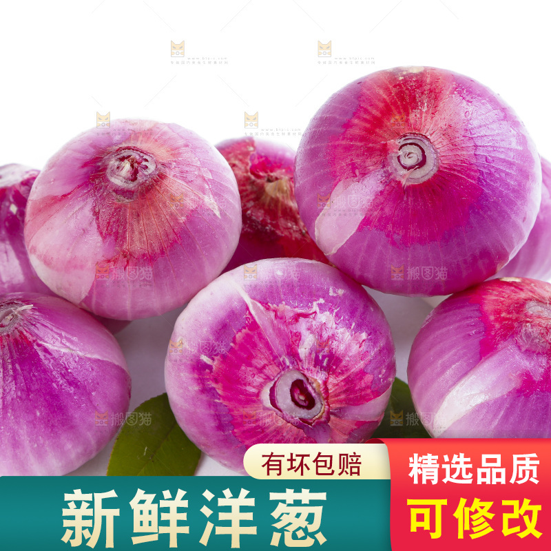 白底上的新鲜洋葱