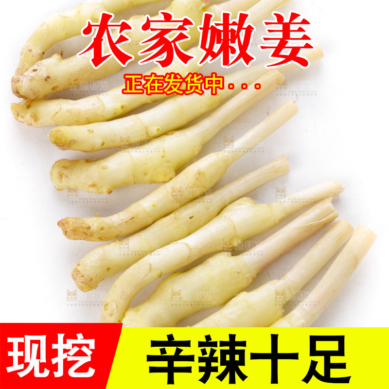 白底上的一堆新鲜生姜
