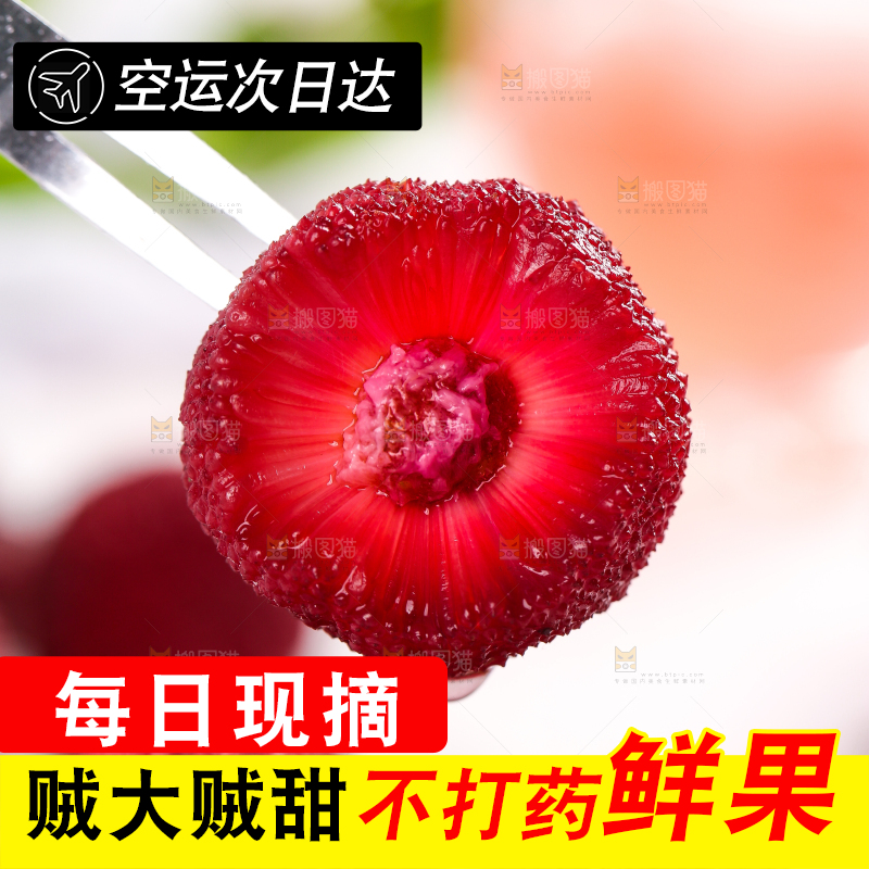 叉子上叉着杨梅