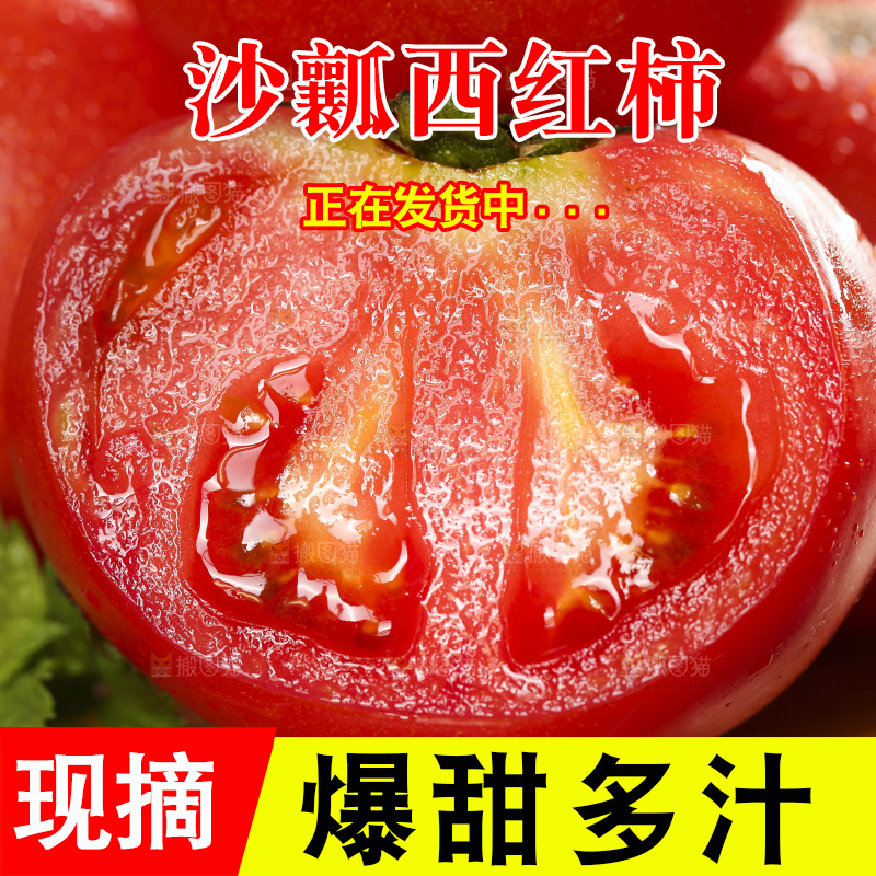 深底上的沙瓤西红柿