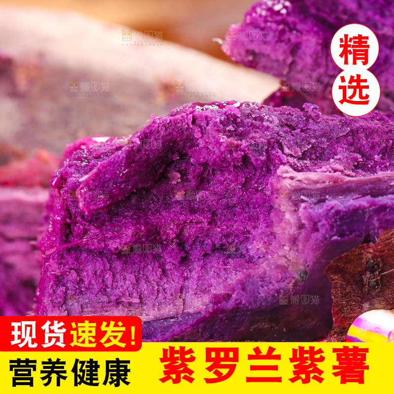 手里拿着紫番薯