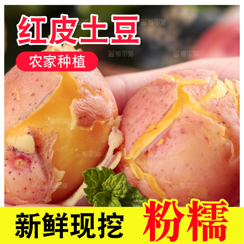 手里拿着红皮土豆