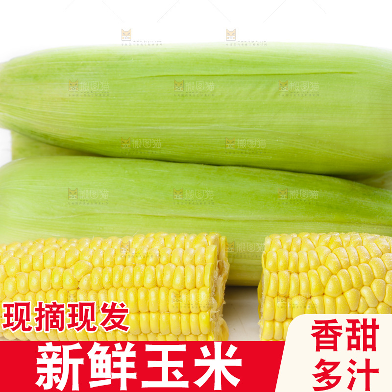 白底上放着新鲜玉米