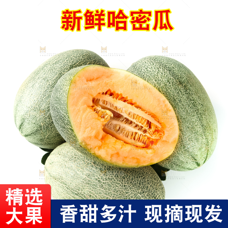 哈密瓜主图