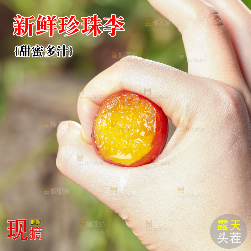 手里拿着脆李子